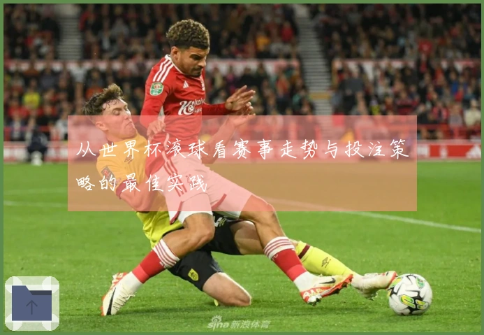 从世界杯滚球看赛事走势与投注策略的最佳实践