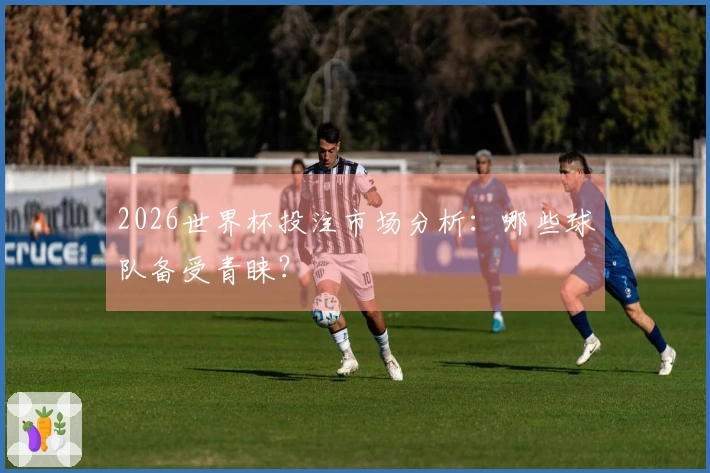 2026世界杯投注市场分析：哪些球队备受青睐？