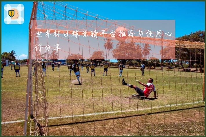 世界杯让球竞猜平台推荐与使用心得分享